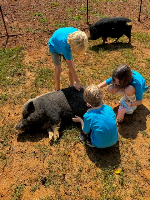 Saturday Morning Farm Yoga poster · Animal Haven of Asheville, Asheville, SEP 12
