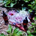 Flower Essence Class