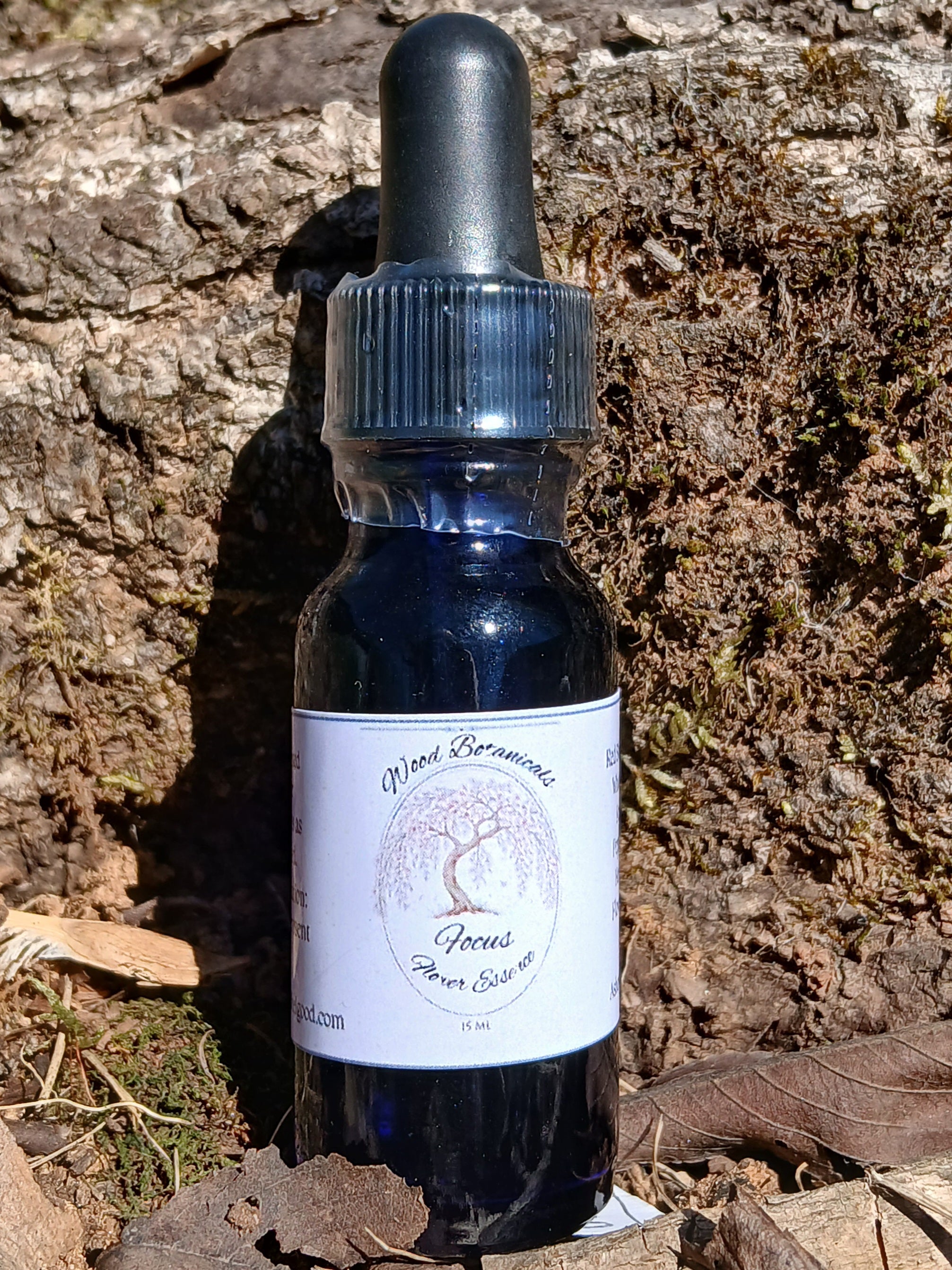 Focus Flower Essence