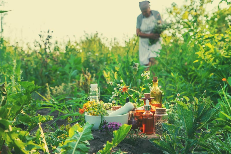 Flower Essence Class